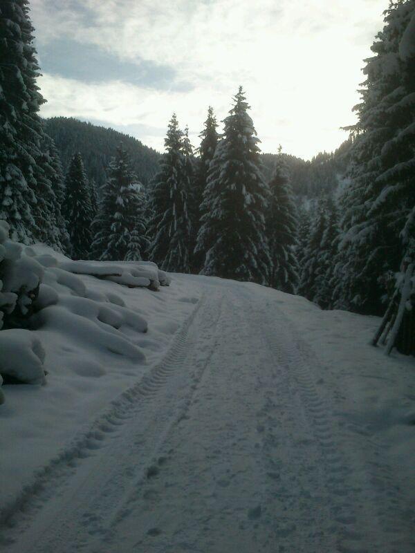 Pension Alpenstern Oberau Buitenkant foto