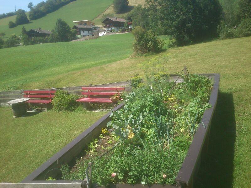 Pension Alpenstern Oberau Buitenkant foto